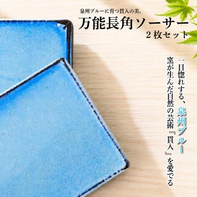 ふるさと納税 泉佐野市 泉州ブルーに育つ貫入の美。万能長角ソーサー(2枚セット) 099H4536