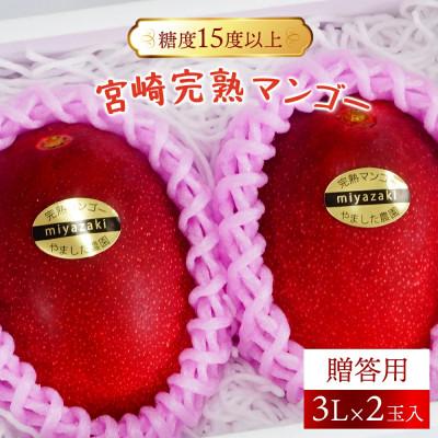 ふるさと納税 串間市 宮崎完熟マンゴー贈答用(3L×2玉入)