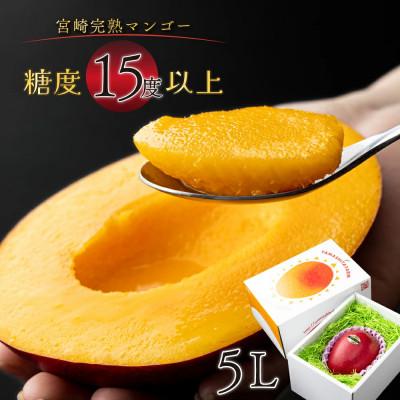 ふるさと納税 串間市 糖度15度以上の宮崎完熟マンゴー(5L×1玉入・贈答用) 1箱