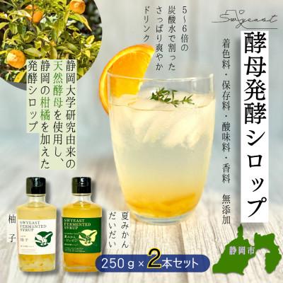ふるさと納税 静岡市 大学研究の天然酵母使用 新感覚発酵シロップ(柚子味・夏みかん&amp;だいだい味)250g×2本