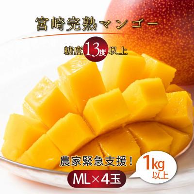 ふるさと納税 串間市 宮崎完熟マンゴー ご家庭用 小さめ M・Lサイズ2玉入り×2パック(1,000g〜1,200g)