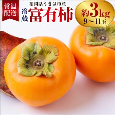 ふるさと納税 うきは市 [先行予約]西見柿農園 冷蔵富有柿 9玉から11玉(約3kg)[2026年12月下旬〜発送予定]