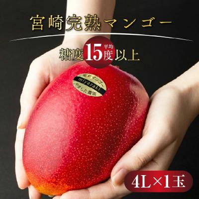 ふるさと納税 串間市 宮崎完熟マンゴー(4L×1玉入×1箱)一般用