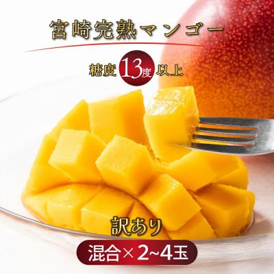 ふるさと納税 串間市 [訳あり]宮崎完熟マンゴー ご家庭用(1.5〜1.7kg)大小混合