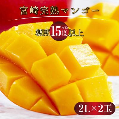ふるさと納税 串間市 宮崎完熟マンゴー(2L×2玉入×1箱)簡易箱入