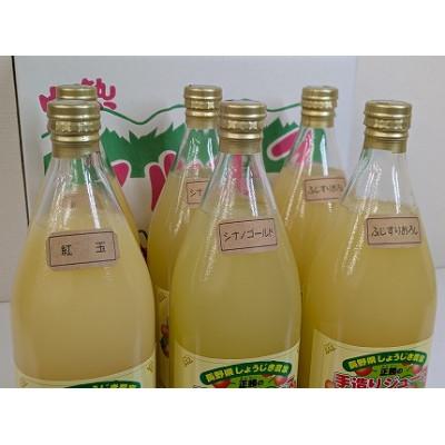 ふるさと納税 中川村 片桐農園 100%りんごジュース飲み比べ 3種6本セット