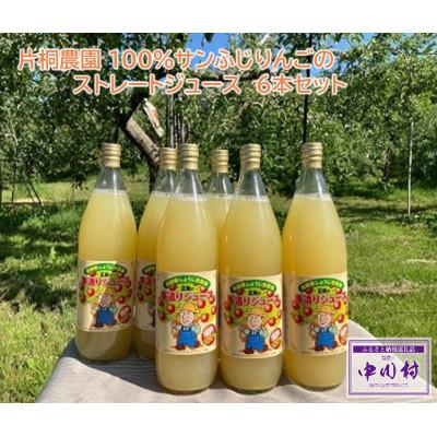 ふるさと納税 中川村 片桐農園 100%サンふじりんごのストレートジュース 6本セット