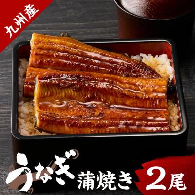 ふるさと納税 伊万里市 九州産うなぎ蒲焼 2匹(1匹 約240g)