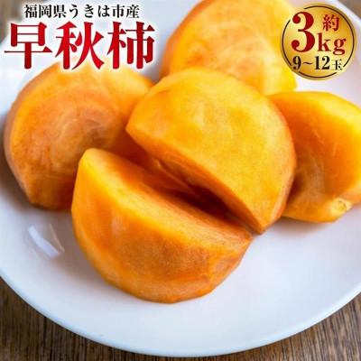 ふるさと納税 うきは市 [先行予約]西見柿農園 早秋柿 9玉から12玉(約3kg)[2026年10月上旬より順次発送予定]