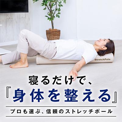 ふるさと納税 泉佐野市 【LPN社製】ストレッチポールEX(ネイビー