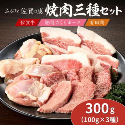 ふるさと納税 伊万里市 佐賀の恵み 3種焼肉セット(佐賀牛・有田鶏・肥前さくらポーク)計300g