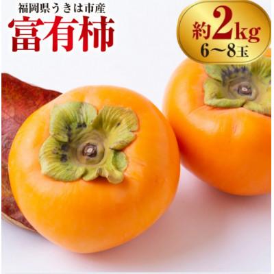 ふるさと納税 うきは市 [先行予約]西見柿農園 富有柿 6玉から8玉 (約2kg)[2026年11月上旬より順次発送予定]