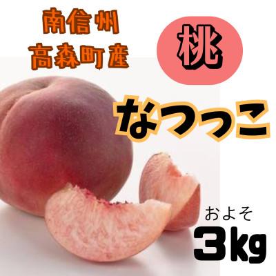 ふるさと納税 高森町 [令和8年予約受付]南信州高森町産 桃 『 なつっこ 』 およそ3kg