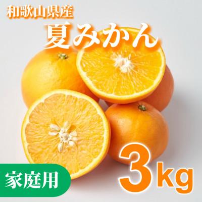 ふるさと納税 広川町 [2027年4月下旬より順次発送]和歌山県産 夏みかん3kg 家庭用(サイズ混合)[まごころ手選別]