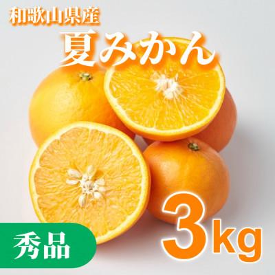 ふるさと納税 広川町 [2027年4月下旬より順次発送]和歌山県産 夏みかん 3kg 秀品(サイズ混合)[まごころ手選別]