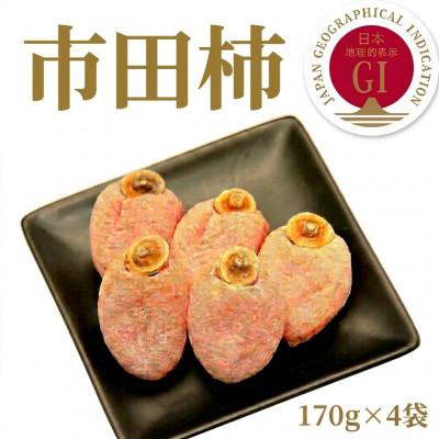 ふるさと納税 飯田市 「訳あり」 南信州産[GI登録商品][市田柿] 約170g×4[2027年1月中旬〜発送予定]