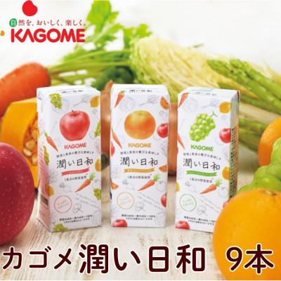 ふるさと納税 北杜市 カゴメ 潤い日和(3種)計9本
