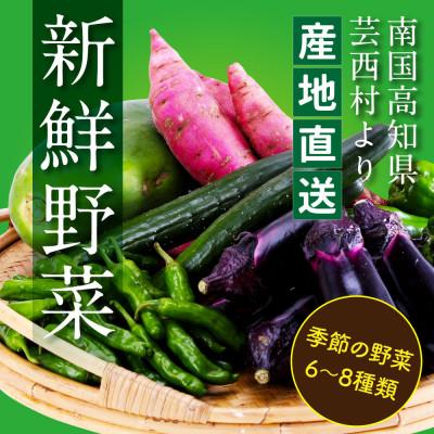 ふるさと納税 芸西村 朝どれ! 野菜詰合せ