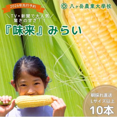 ふるさと納税 原村 [2026年先行予約]朝採れ直送 フルーツのような甘さ『皮付き』生とうもろこし10本