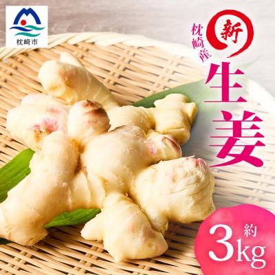 ふるさと納税 枕崎市 [先行受付]枕崎産 新生姜 約3kg(国産・農家直送)[2026年9月上旬より順次発送] A3-38