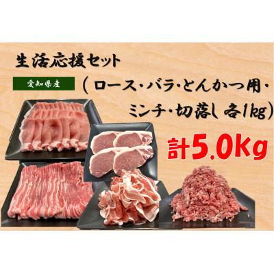 ふるさと納税 瀬戸市 [セット品]生活応援セット 計5kg (ロース、バラ、とんかつ、ミンチ、切落し 各1kg)