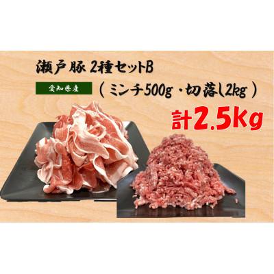 ふるさと納税 瀬戸市 瀬戸豚2種セットB(ミンチ500g+カタバラ切落し2kg) 計2.5kg