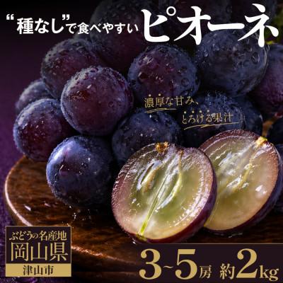 ふるさと納税 津山市 【先行受付】星乃ピオーネ 3房〜5房(2kg以上) | 