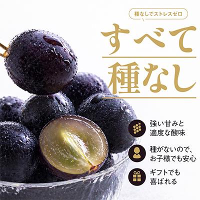 ふるさと納税 津山市 【先行受付】星乃ピオーネ 3房〜5房(2kg以上) |  | 01