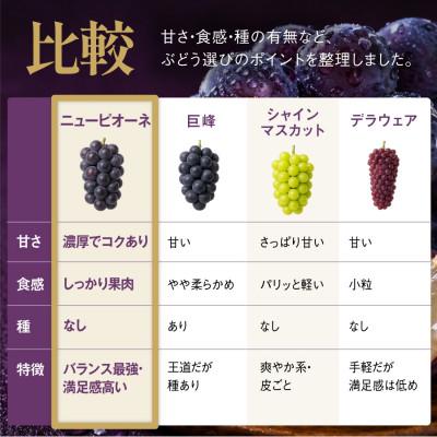 ふるさと納税 津山市 【先行受付】星乃ピオーネ 3房〜5房(2kg以上) |  | 03