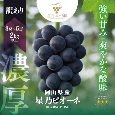 ふるさと納税 津山市 先行受付【訳あり】星乃ピオーネ 3房〜5房(2kg以上) | 