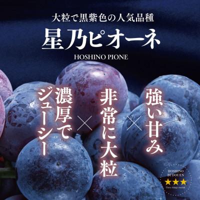 ふるさと納税 津山市 先行受付【訳あり】星乃ピオーネ 3房〜5房(2kg以上) |  | 01