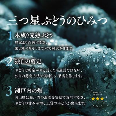 ふるさと納税 津山市 先行受付【訳あり】星乃ピオーネ 3房〜5房(2kg以上) |  | 03