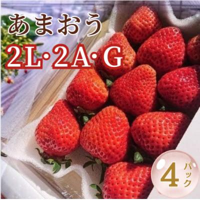 ふるさと納税 宇美町 [2027年3月上旬より順次発送]春のあまおう (2L・2A・G規格 4パック) (宇美町)