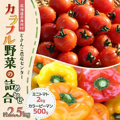 ふるさと納税 赤井川村 [北海道赤井川村]カラフル野菜の詰め合わせ2.5kg