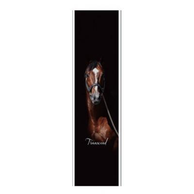 ふるさと納税 平取町 [競馬グッズ][トランセンド]タペストリー