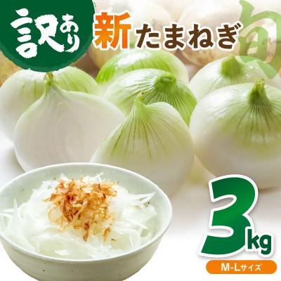 ふるさと納税 京丹後市 [訳あり]国産 新たまねぎ 3kg(約10〜15玉) 直売所直送わけあり 不揃いですが新鮮