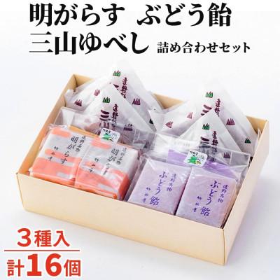 ふるさと納税 遠野市 明がらす・ぶどう飴・三山ゆべし 計16個 詰め合わせセット 岩手県遠野市 銘菓 竹林堂