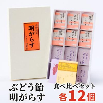 ふるさと納税 遠野市 明がらす・ぶどう飴 各12個(計24個)食べ比べセット 岩手県遠野市 竹林堂