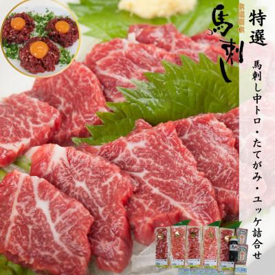 ふるさと納税 球磨村 特選 馬刺し中トロ・たてがみ・ユッケ詰合せ[馬刺・和牛乃 栗山屋](球磨村) FKP9-563