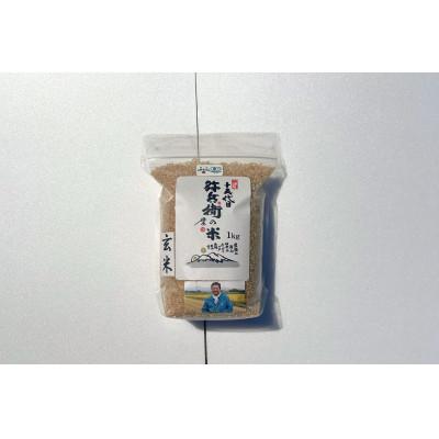 ふるさと納税 鶴岡市 山形県産 令和7年産 つや姫 玄米 1kg
