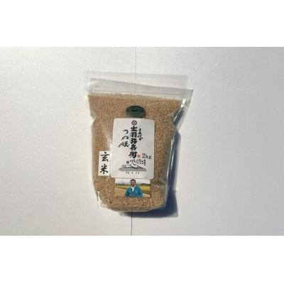 ふるさと納税 鶴岡市 山形県産 令和7年産 つや姫 玄米 2kg