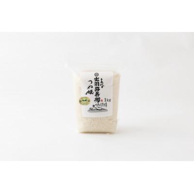 ふるさと納税 鶴岡市 山形県産 令和7年産 つや姫 白米 1kg