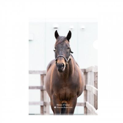 ふるさと納税 平取町 [競馬グッズ]クリアファイル[ヒルノダムール]5枚入り