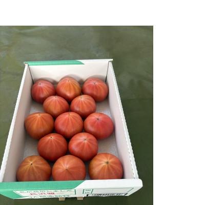 ふるさと納税 館林市 糖度9以上!極上フルーツトマト1kg(11〜13玉)群馬
