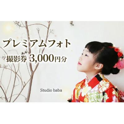 ふるさと納税 三好市 [補助券3000円分]プレミアムフォト撮影 スタジオ撮影/徳島県三好市内のロケーション撮影にご利用◎
