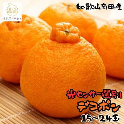ふるさと納税 新宮市 ≪先行予約 2027年2月〜発送≫[大人気]和歌山有田の濃厚デコポン 15〜24玉(約5kg)