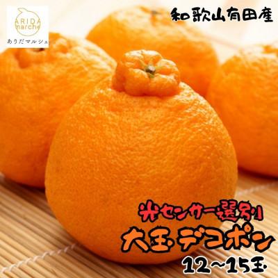 ふるさと納税 新宮市 ≪先行予約 2027年2月〜発送≫[大人気]和歌山有田の濃厚大玉デコポン 12〜15玉(約5kg)