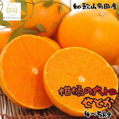 ふるさと納税 新宮市 ≪先行予約 2027年2月〜発送≫[高級]和歌山有田の濃厚せとか 約4〜5kg