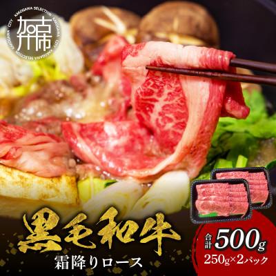 ふるさと納税 加古川市 [肉のまち かこがわ]熟練職人の技術と目利き 黒毛和牛雌牛 ロースすき焼き用スライス 500g