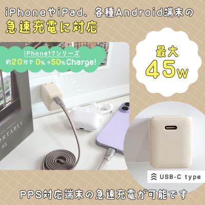 ふるさと納税 海老名市 USB充電器 PD45W USB-Cx1 スモーキーブラック